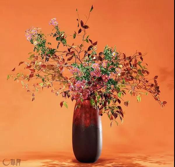 微信图片_20181128173819.jpg 微信图片_20181128173819.jpg